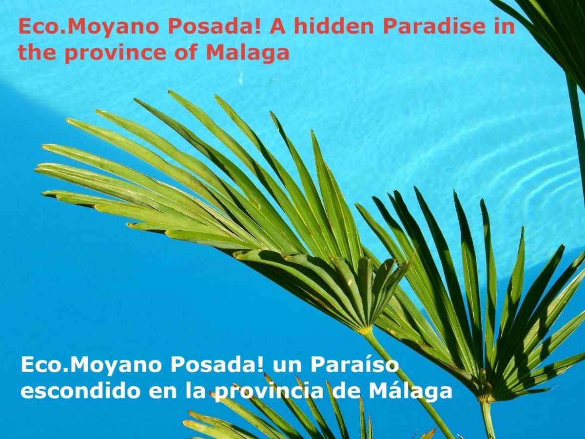 Eco Moyano Posada Гаусин Экстерьер фото
